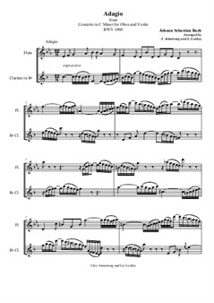 J.S. Bach - Adagio from Concerto in C minor