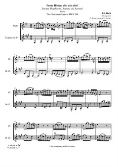 J.S. Bach, Frohe Hirten, eilt, ach eilet! from the Christmas Oratorio